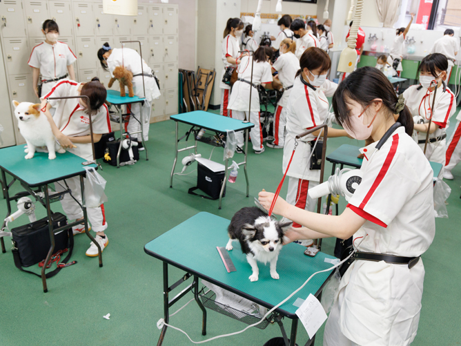 横浜動物専門学校のcampusgallery