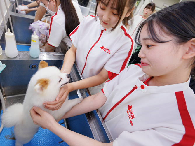 横浜動物専門学校のcampusgallery