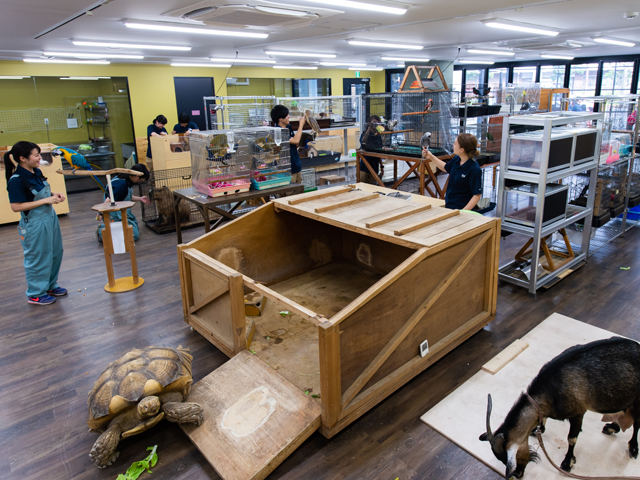 ＴＣＡ東京ＥＣＯ動物海洋専門学校のオープンキャンパス