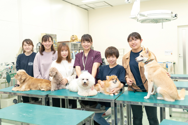 仙台ＥＣＯ動物海洋専門学校の講師