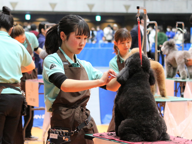 大宮国際動物専門学校